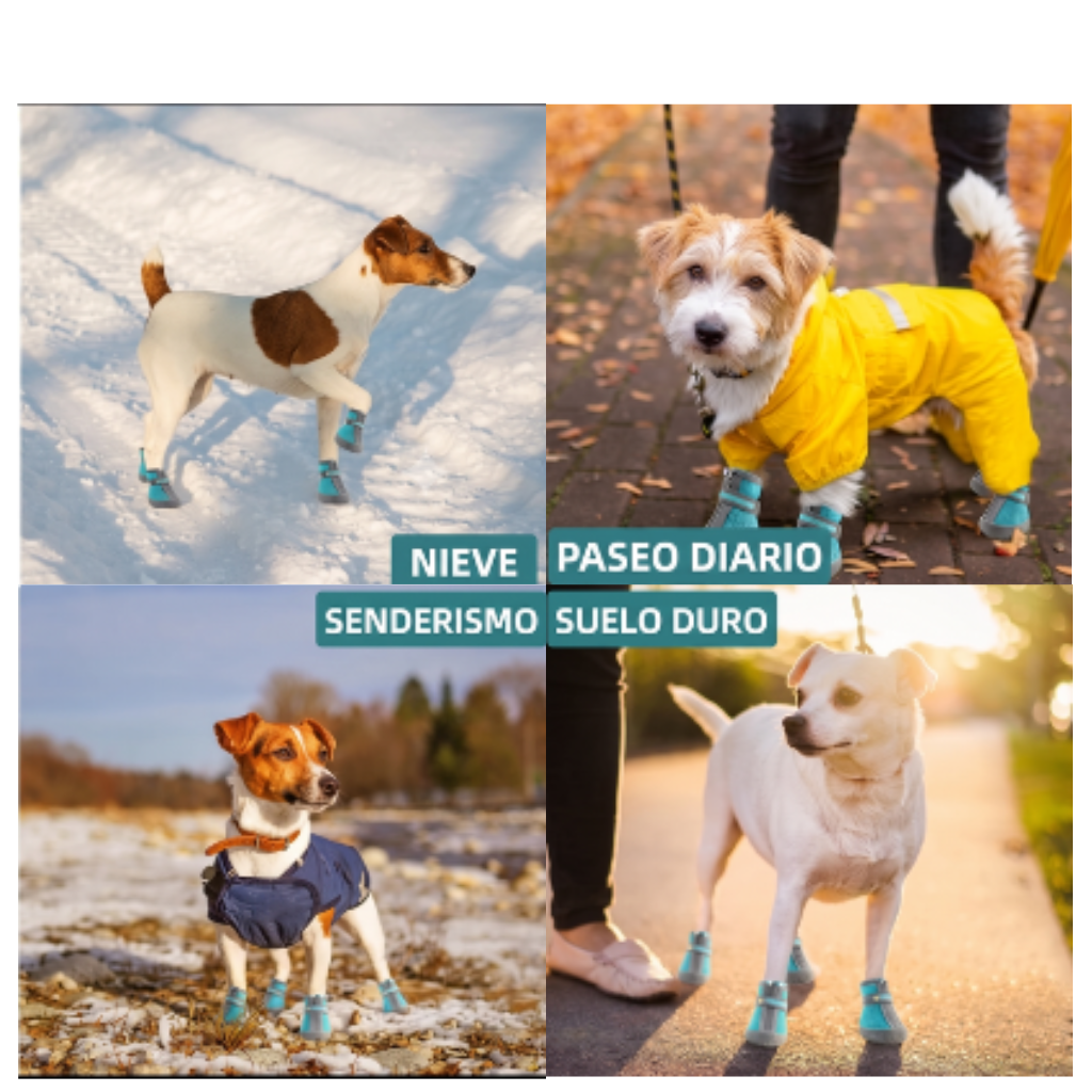 Manta para perros y gatos apta para sala, sof&aacute;, auto y camita